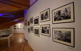 Museo dei Culti Arborei